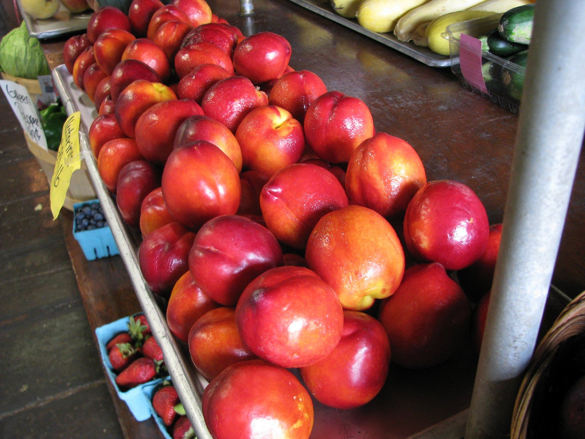 Building a Github Repo Template Part 1: Next.js, React, and TypeScript