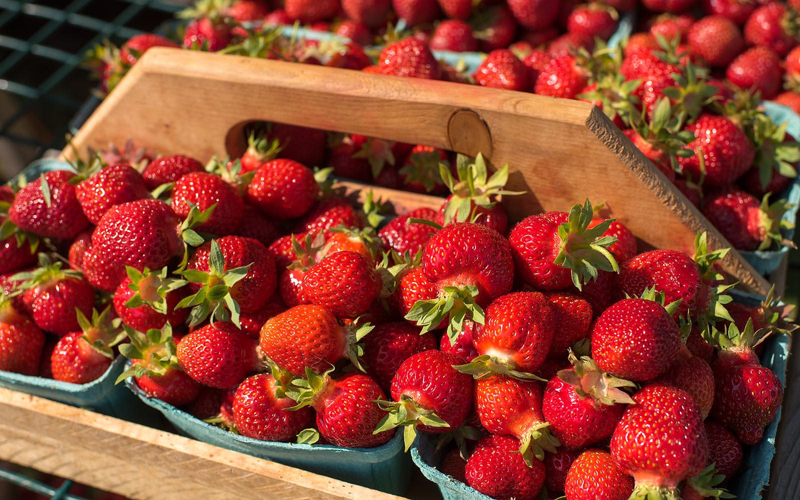 Building a Github Repo Template Part 2: ESLint with TypeScript