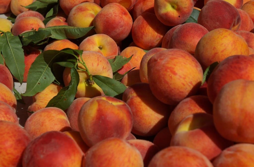 Building a Github Repo Template Part 4: TypeScript Path Aliases