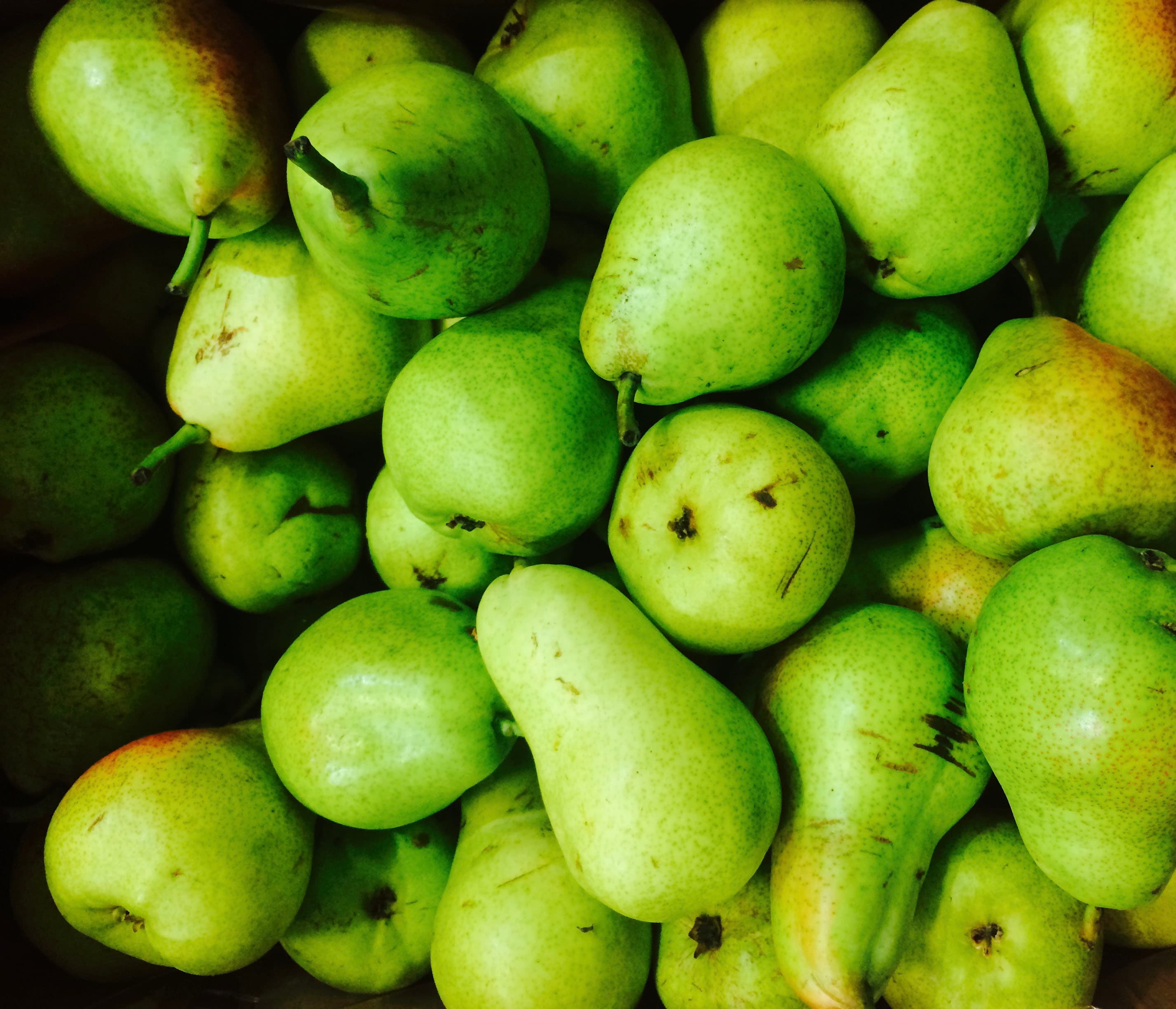 Building a Github Repo Template Part 7: Next.js PWA Support